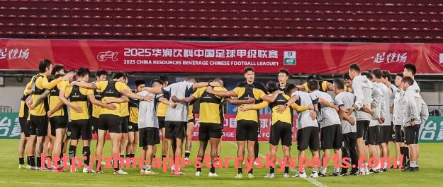 星空体育app-意大利籍主帅执教德甲球队的历史与现状