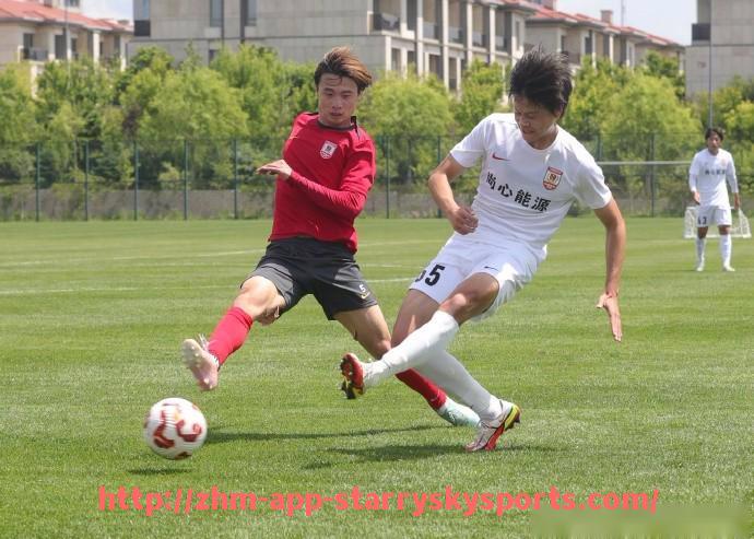 星空体育app-世俱杯比赛临时暂停制度适用条件及案例分析