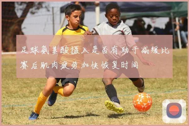 足球氨基酸摄入是否有助于减缓比赛后肌肉疲劳加快恢复时间