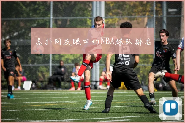 虎扑网友眼中的NBA球队排名